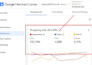 setup and manage google ads performance max campaign for your shopify store